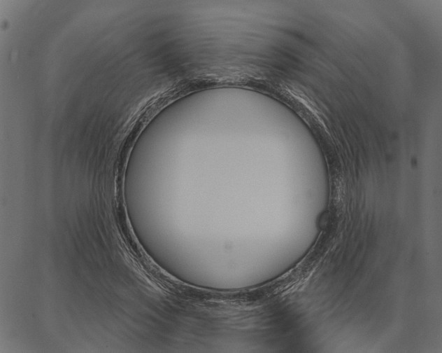 X0000087040733200704180936