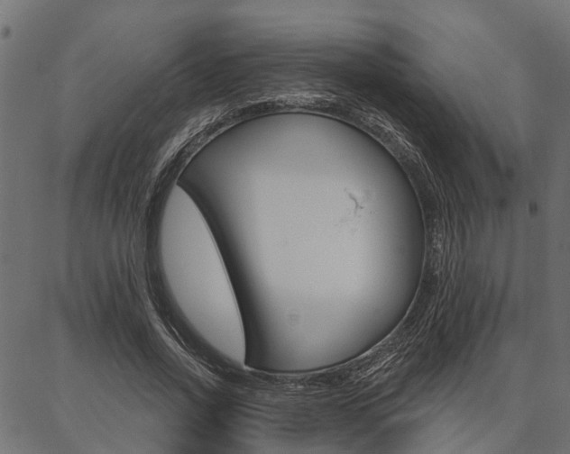 X0000087040734200704180936