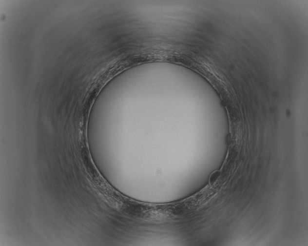 X0000087040737200704180936