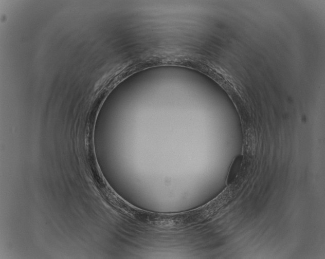 X0000087040740200704180937