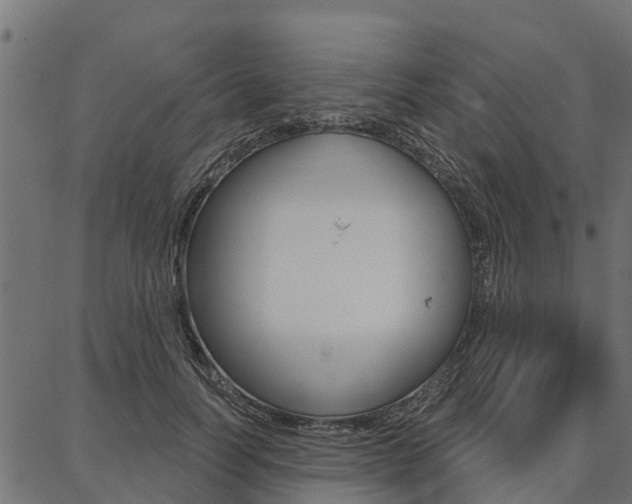 X0000087040746200704180937