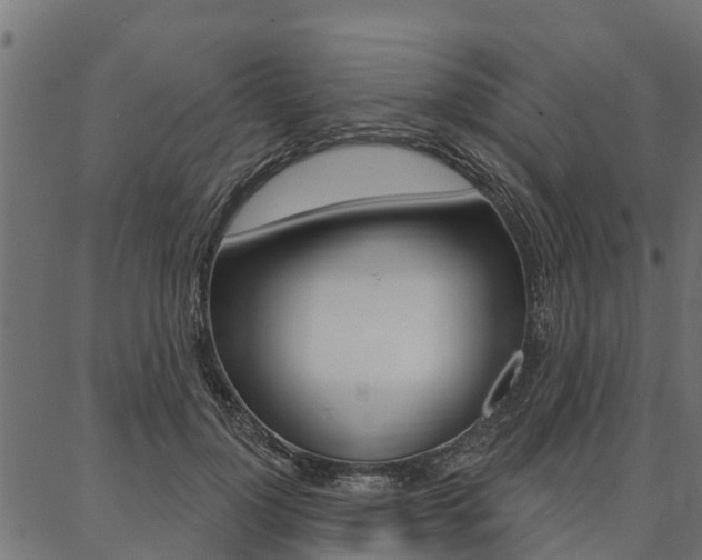 X0000087040748200704180937
