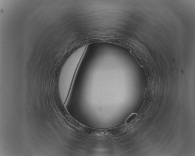 X0000087040752200704180937