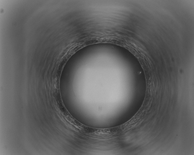 X0000087040756200704180937