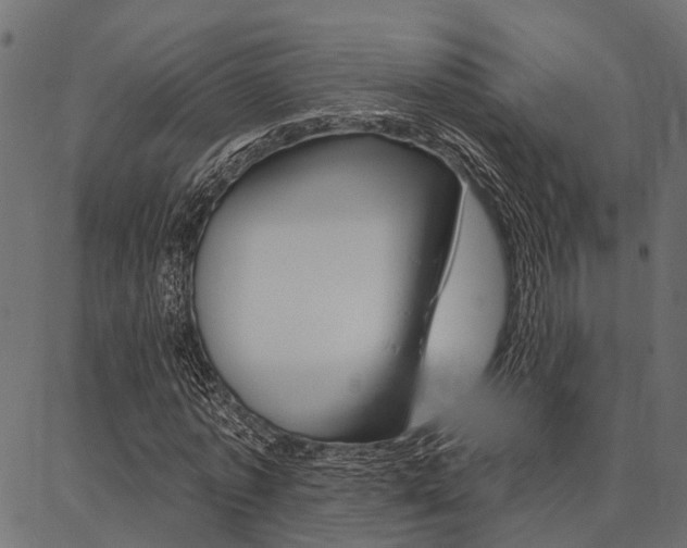 X0000087040773200704180936
