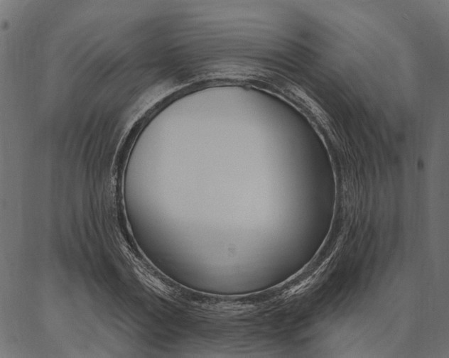 X0000087040779200704180936