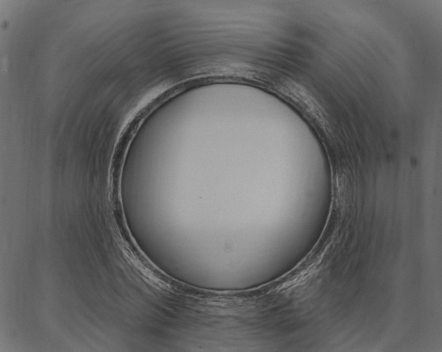 X0000087040780200704180936