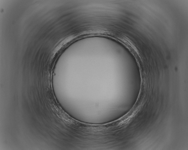 X0000087040781200704180936