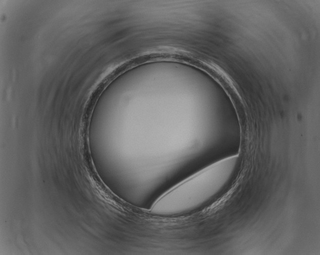 X0000087040783200704180936