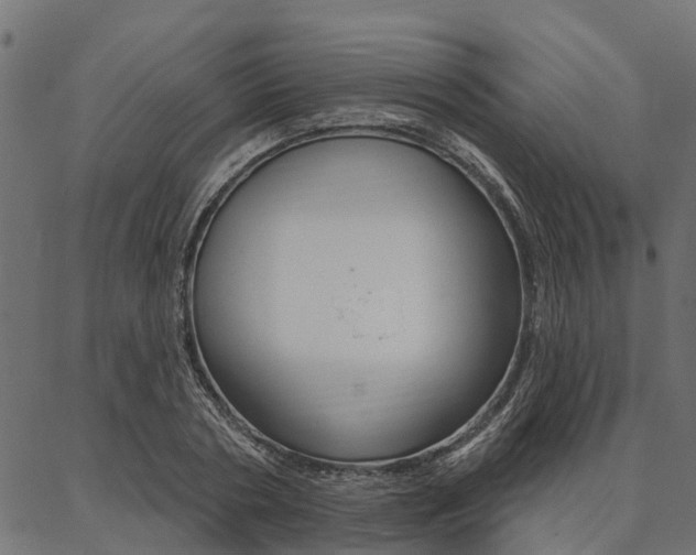 X0000087040786200704180936