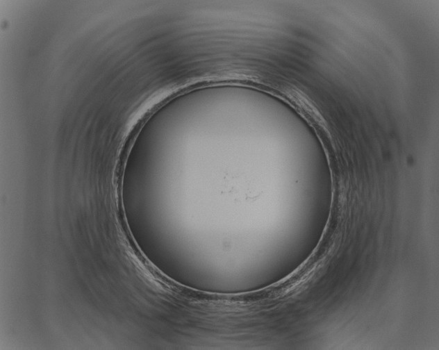 X0000087040789200704180936