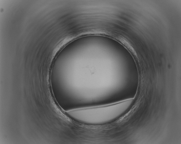 X0000087040797200704180936