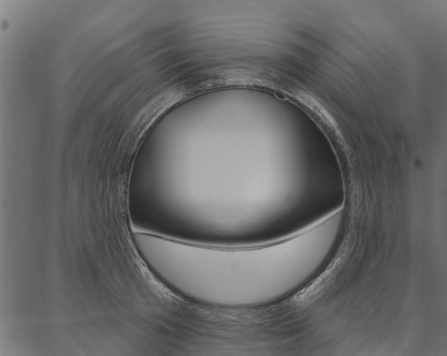 X0000087040801200704180936