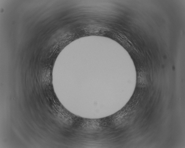 X0000087040820200704180935