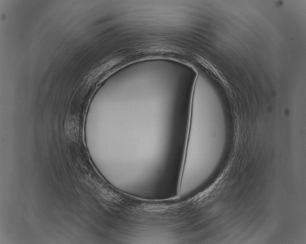 X0000087040825200704180935