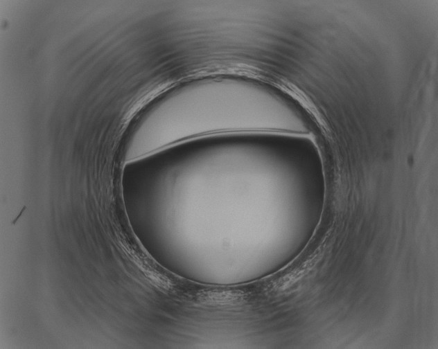 X0000087040826200704180935