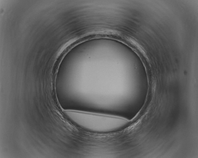 X0000087040829200704180935