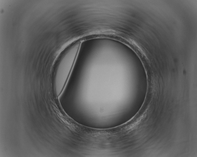 X0000087040830200704180935