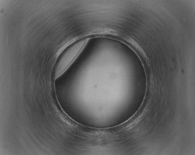 X0000087040834200704180935