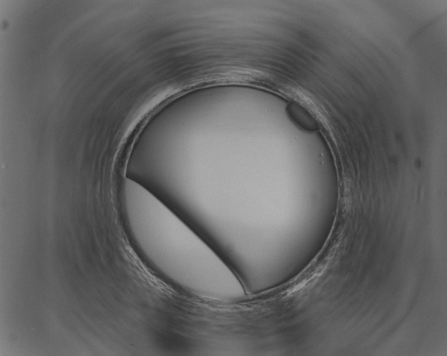 X0000087040835200704180935