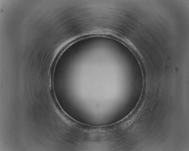 X0000087040838200704180935