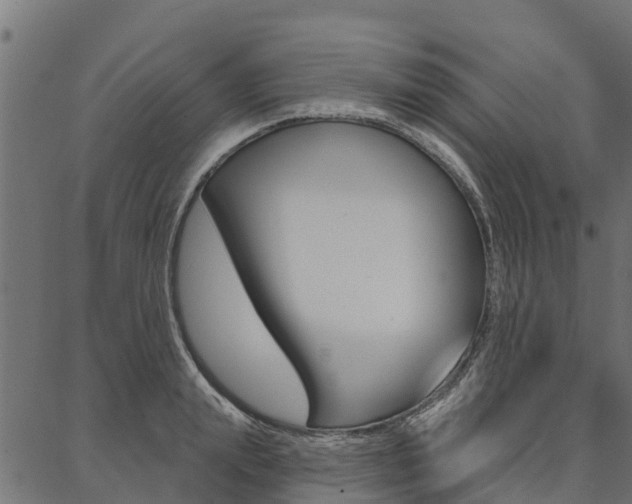 X0000087040847200704180935