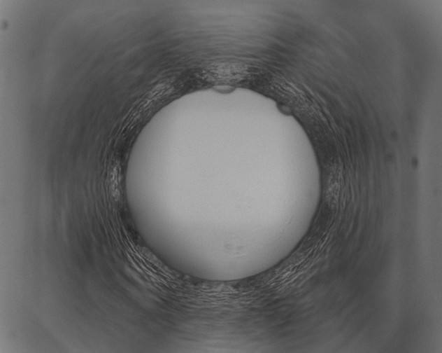 X0000087040866200704180935