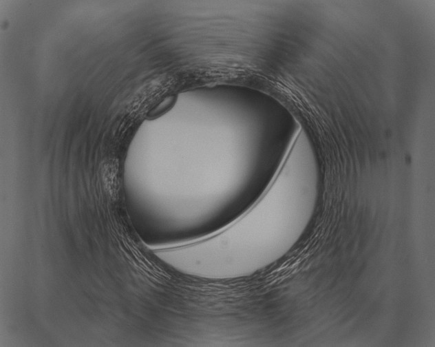 X0000087040867200704180935