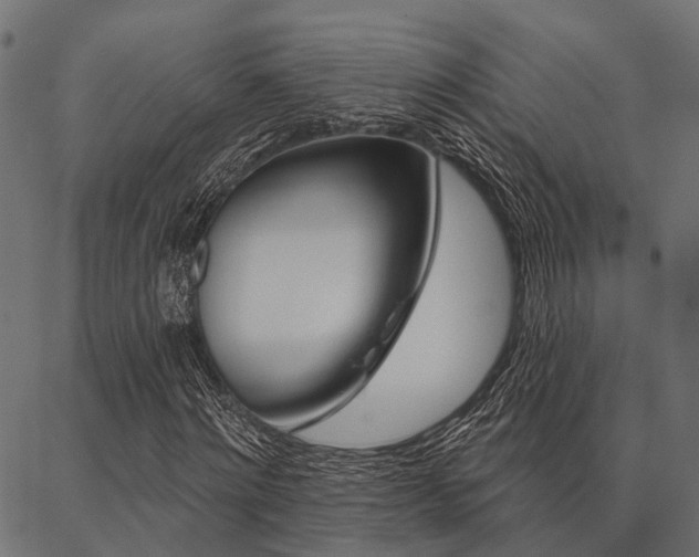 X0000087040868200704180935