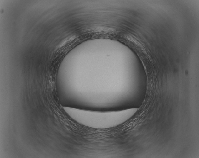 X0000087040869200704180935