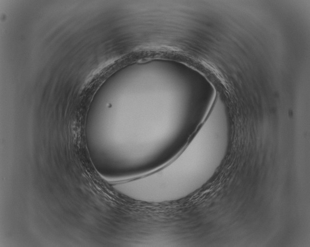 X0000087040872200704180935