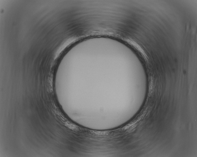 X0000087040878200704180934