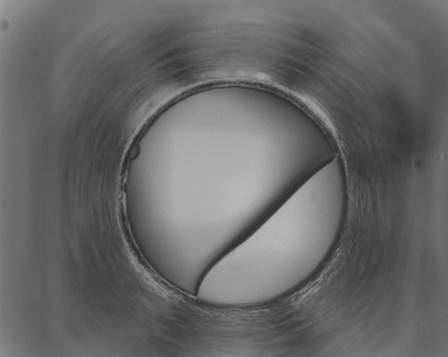 X0000087040895200704180934
