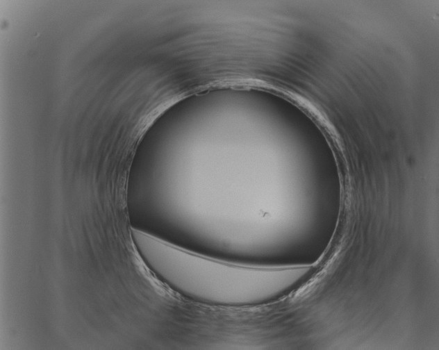 X0000087040905200704180934