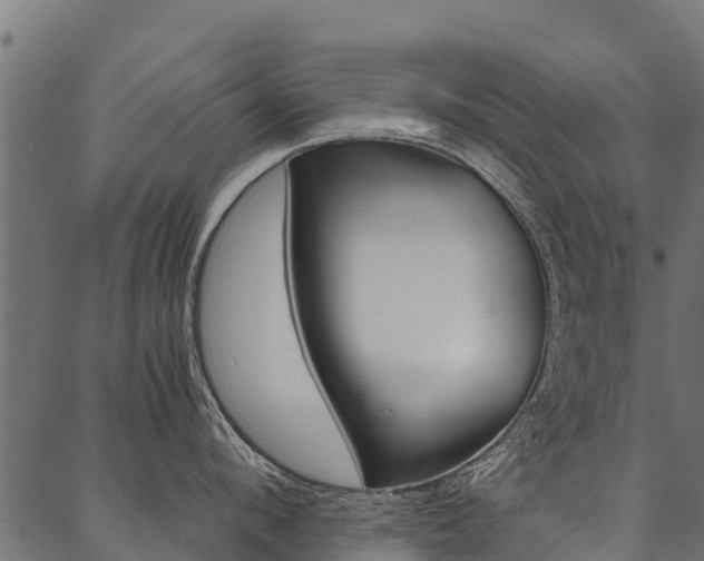 X0000087040912200704180934