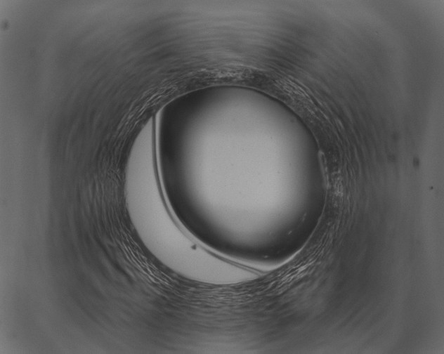 X0000087040916200704180933