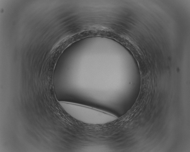 X0000087040919200704180933