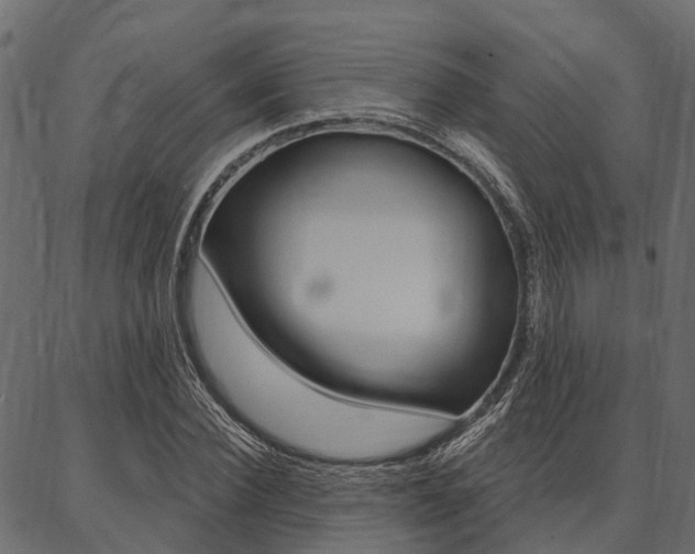 X0000087040924200704180933
