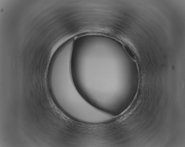 X0000087040928200704180933