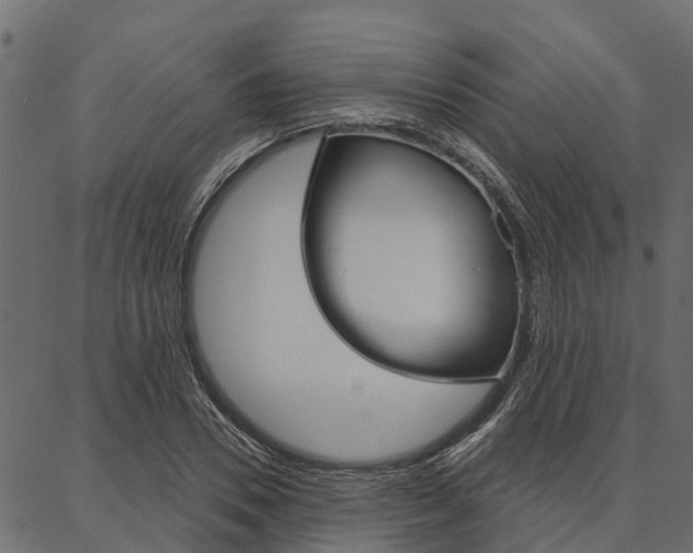 X0000087040930200704180933