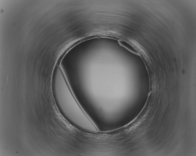 X0000087040940200704180934