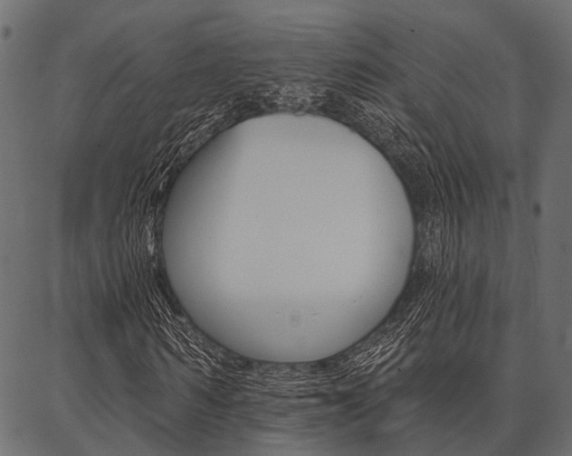 X0000087040962200704180933