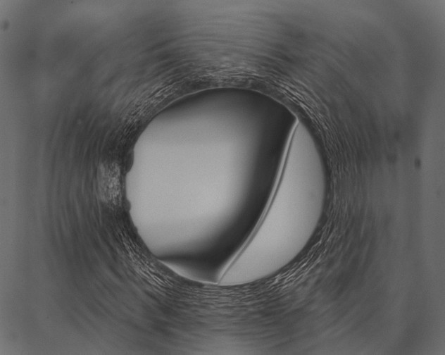 X0000087040963200704180933