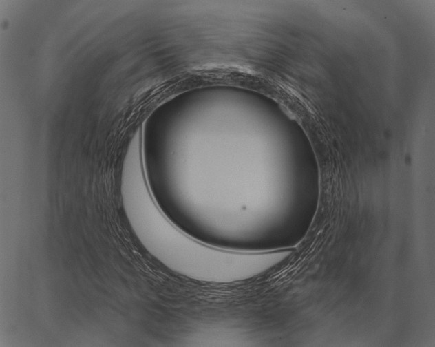 X0000087040965200704180933