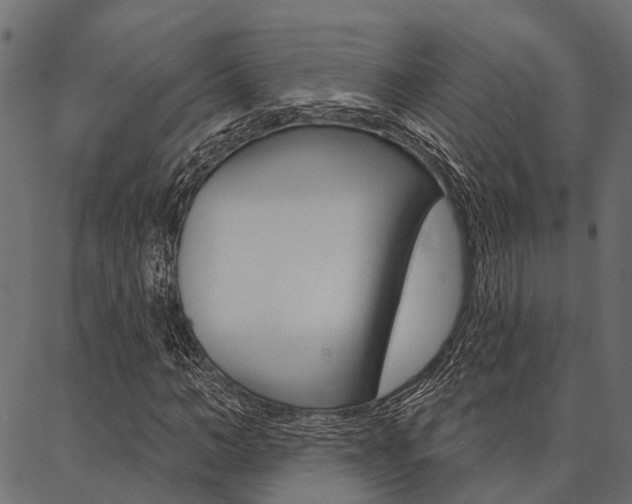 X0000087040966200704180933