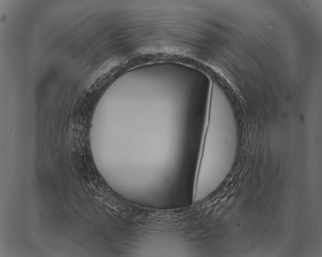 X0000087040967200704180933