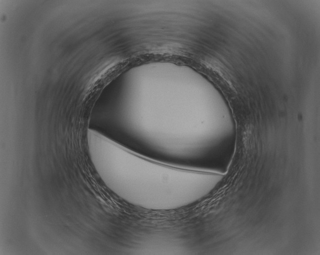 X0000087040968200704180933