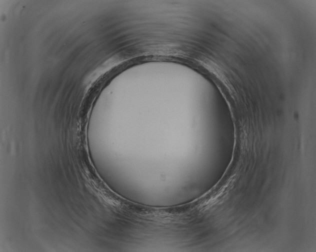 X0000087040971200704180933