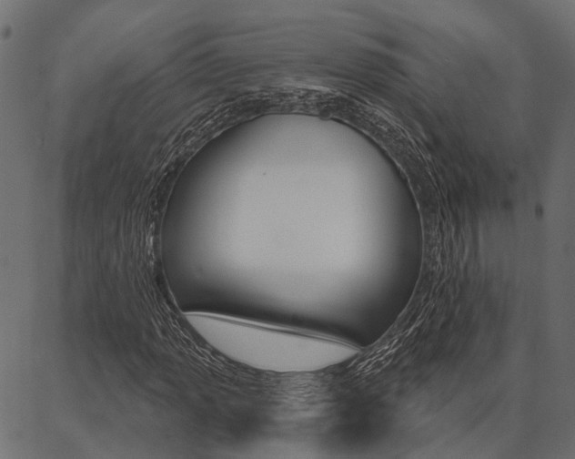 X0000087041013200704180932