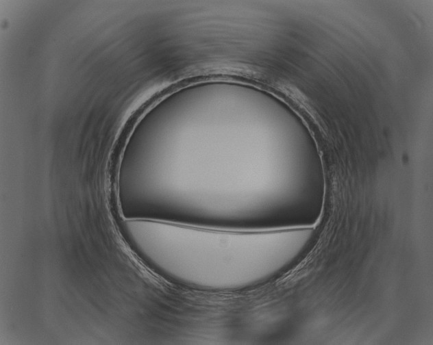 X0000087041024200704180932